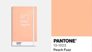 Tren Warna Pantone 2024: Kelembutan Peach Fuzz dan Pesona Gemas