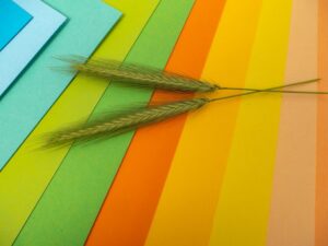 Perbedaan Art Carton dan Art Paper, Mana yang Tepat untuk Kebutuhanmu?
